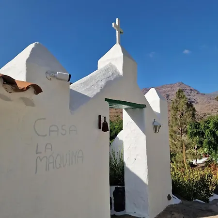 Mango Oasis * Mogán